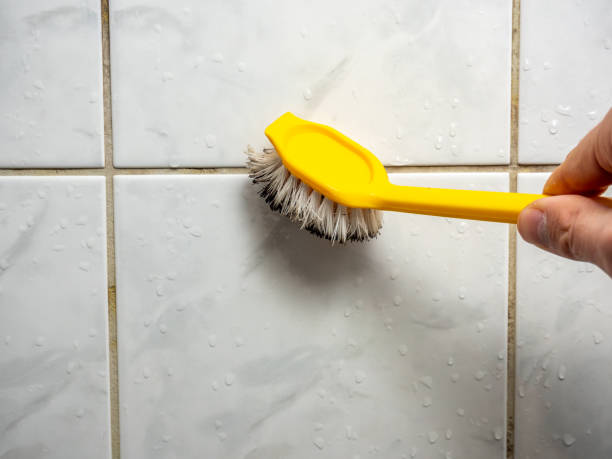 Best Mold Remediation  in Shougal, WA