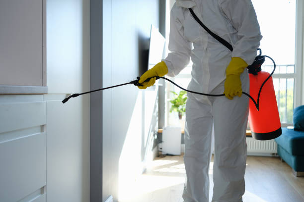 Mold Removal and Inspection in Washougal, WA