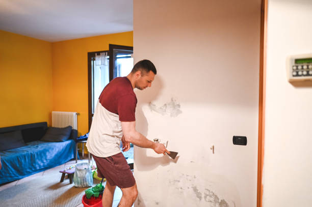 Best Professional Mold Removal  in Shougal, WA