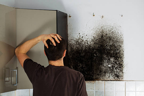 Best Residential Mold Removal  in Shougal, WA